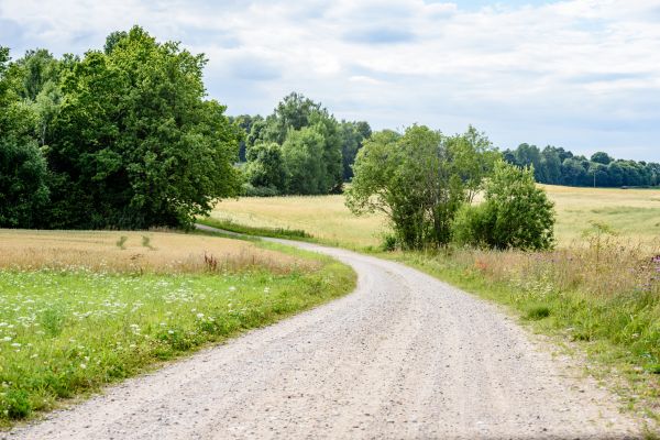 Cost of Stone Driveway Repair in Springfield