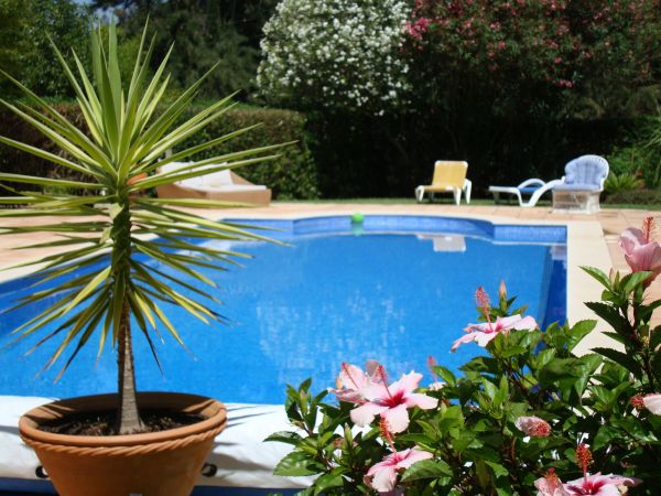 Pool Terrace Renovation in Springfield