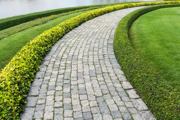 Sidewalk Pavers Installation in Springfield